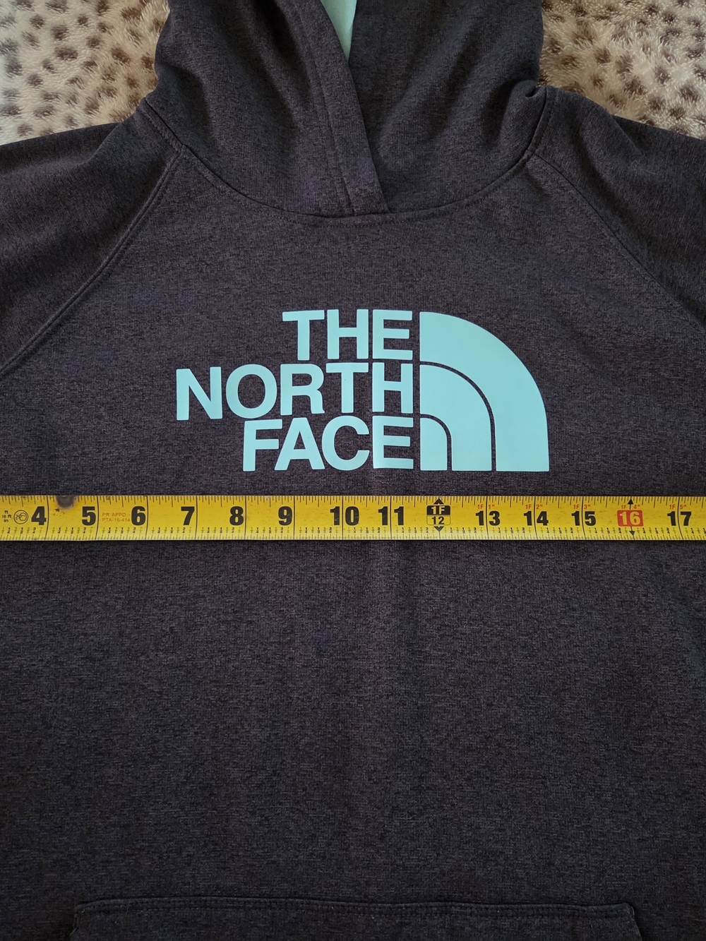 The North Face Charcoal Hoodie with Aqua Logo - Picture 4 of 10